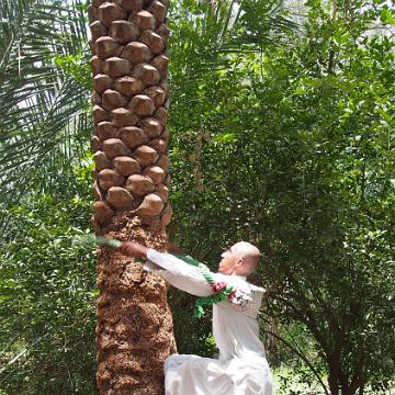 Abu Dhabi 2016