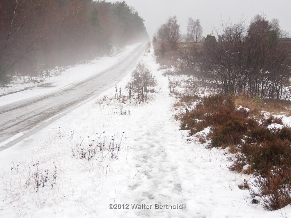 Advent 2012 134
