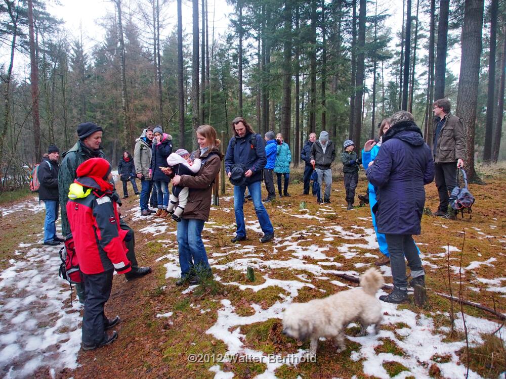 Advent 2012 143