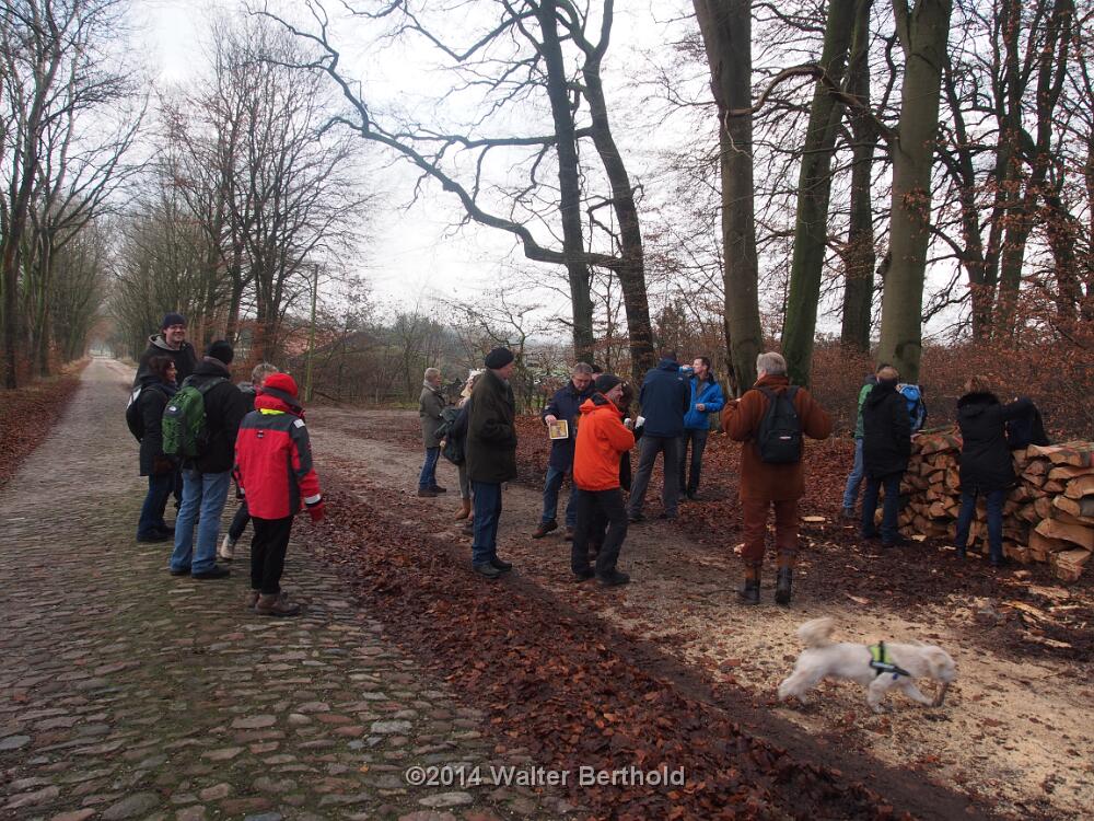Advent 2014 12