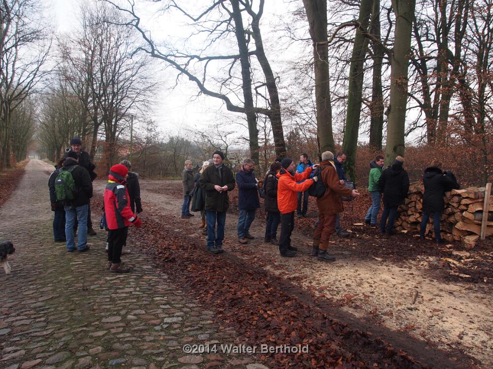 Advent 2014 13