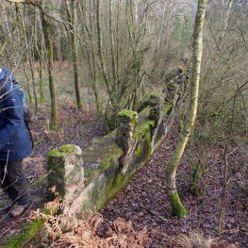 Adventswanderung 2014