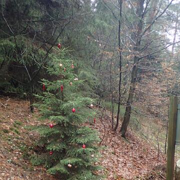 Adventswanderung 2016