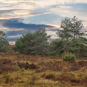 Adventswanderung 2016