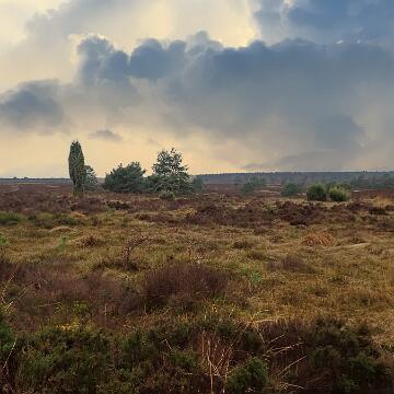 Adventswanderung 2016