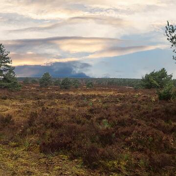 Adventswanderung 2016