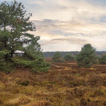 Adventswanderung 2016