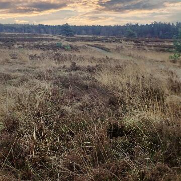 Adventswanderung 2016