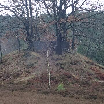 Adventswanderung 2016