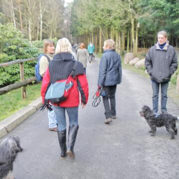 Adventwanderung 2009