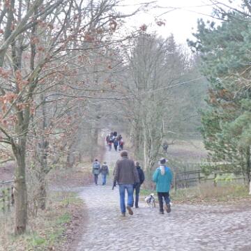Adventwanderung 2009