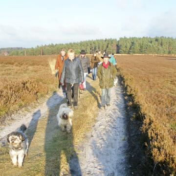 Adventwanderung 2009
