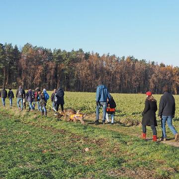 Adventswanderung 2022