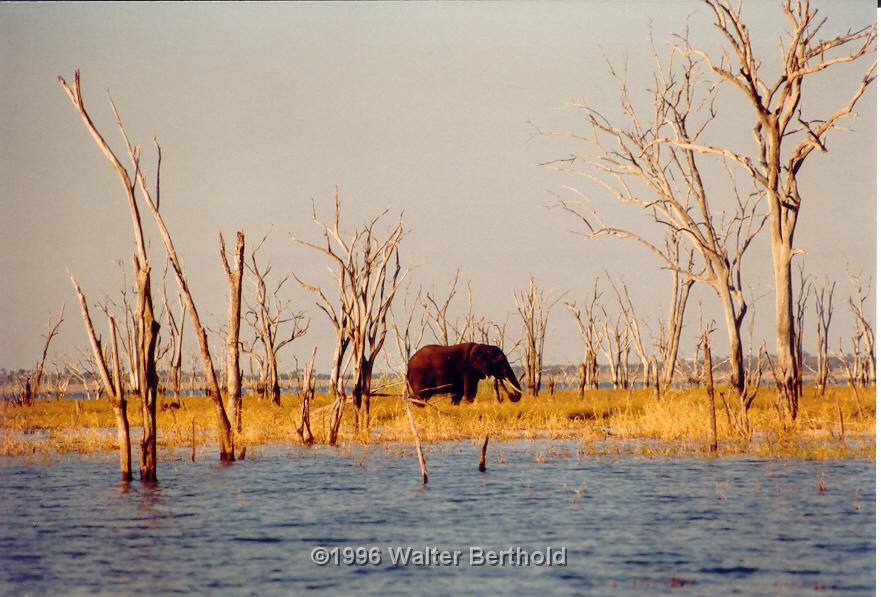 Afrika 1996 044