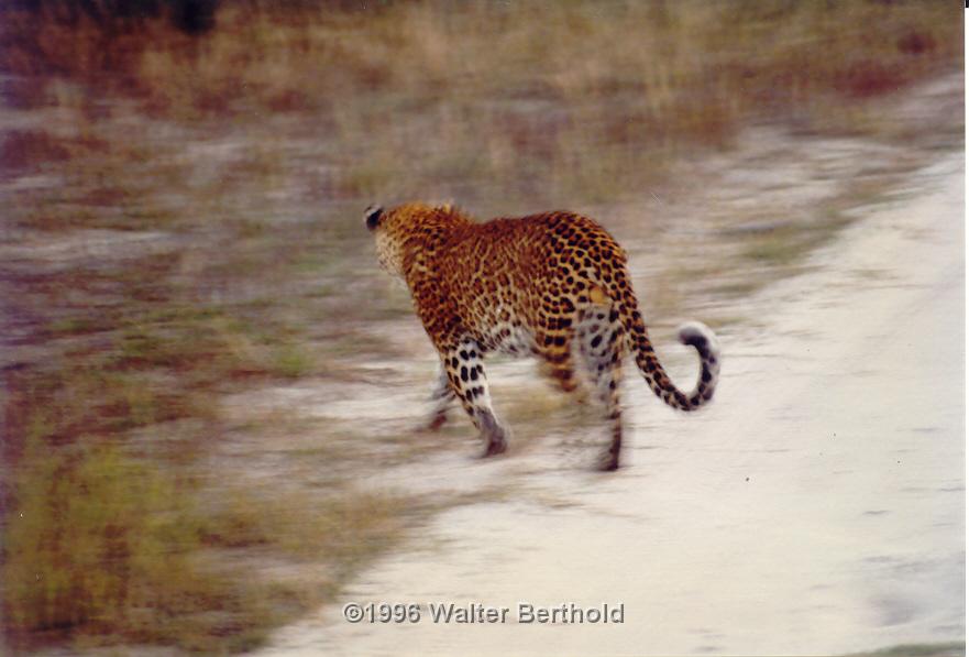 Afrika 1996 076