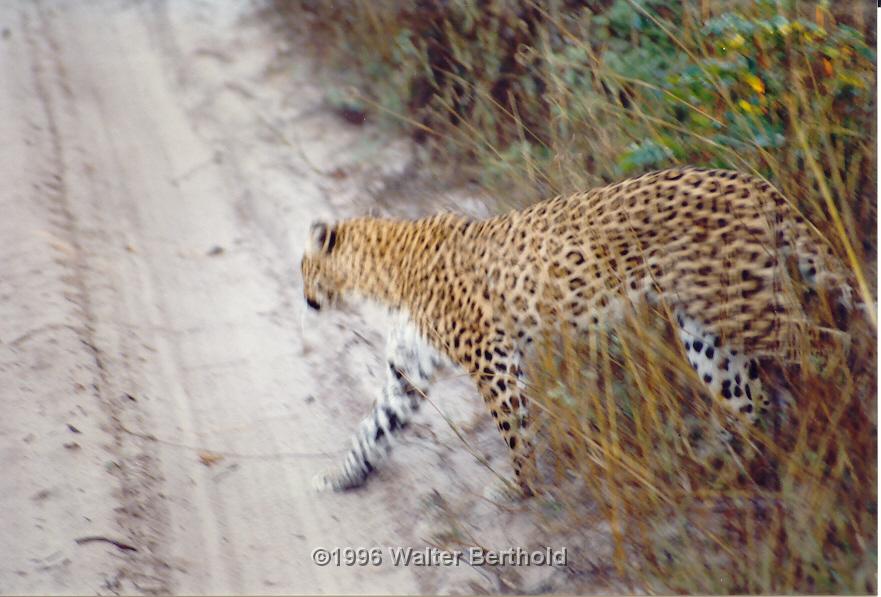 Afrika 1996 087
