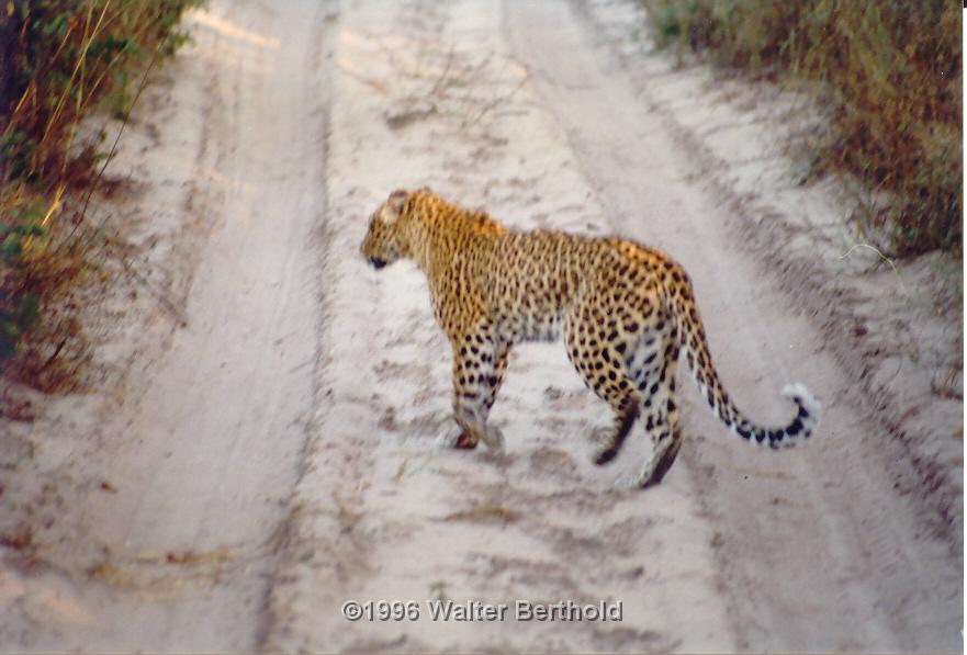 Afrika 1996 088