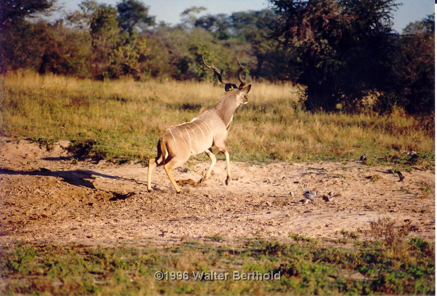 Afrika 1996 090