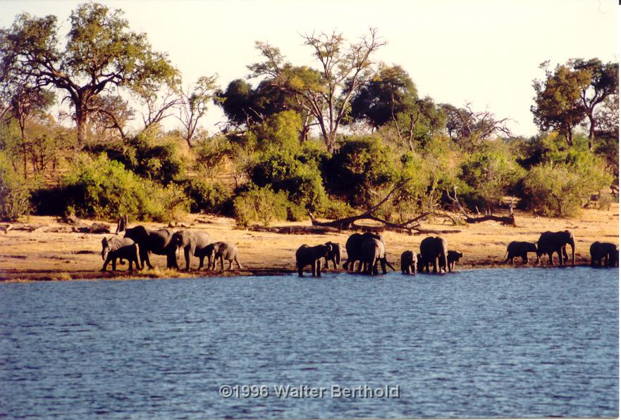Afrika 1996 115
