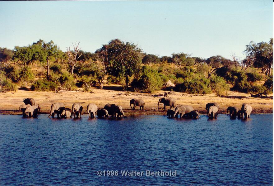 Afrika 1996 118