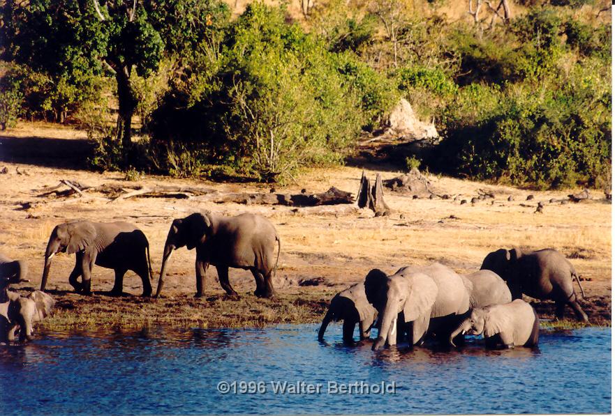Afrika 1996 119