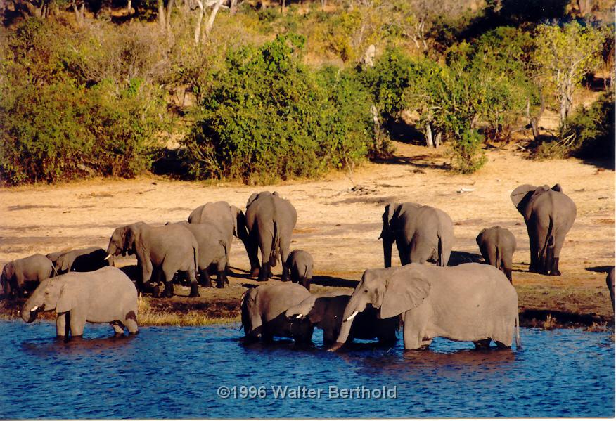 Afrika 1996 120
