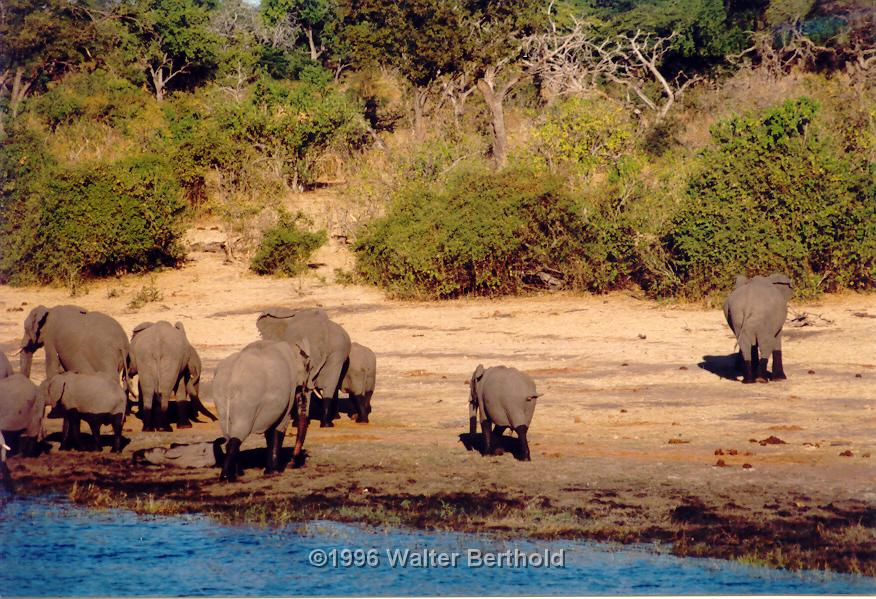 Afrika 1996 121