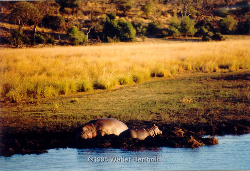 Afrika 1996 122