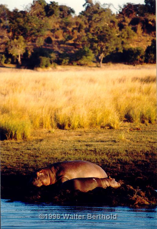 Afrika 1996 123