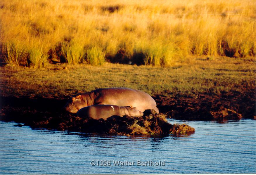 Afrika 1996 124