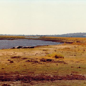 Afrika 1996
