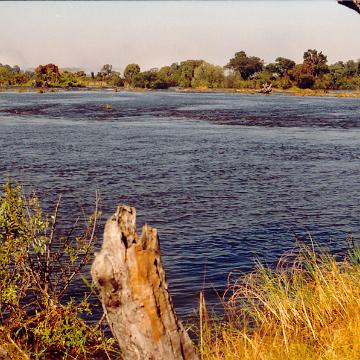 Afrika 1996