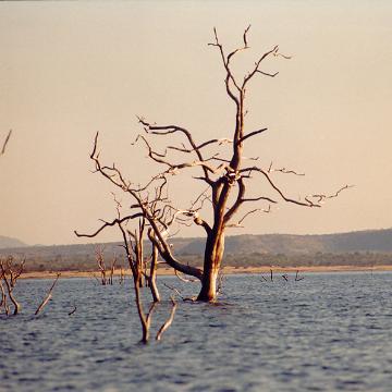 Afrika 1996