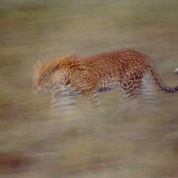 Afrika 1996 074