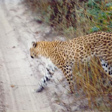 Afrika 1996 087