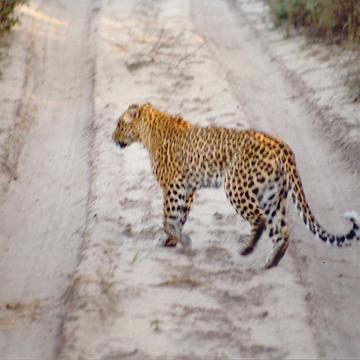 Afrika 1996 088