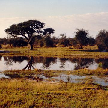 Afrika 1996 092