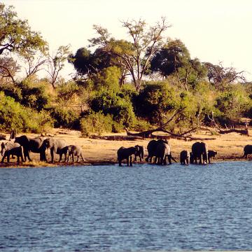 Afrika 1996