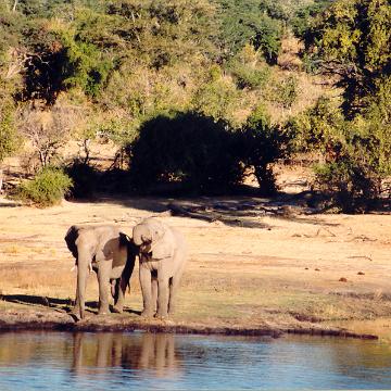 Afrika 1996