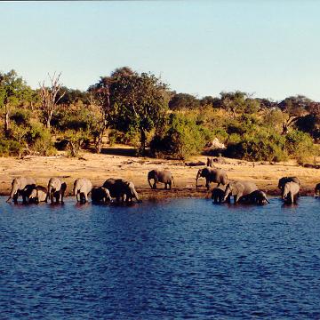 Afrika 1996