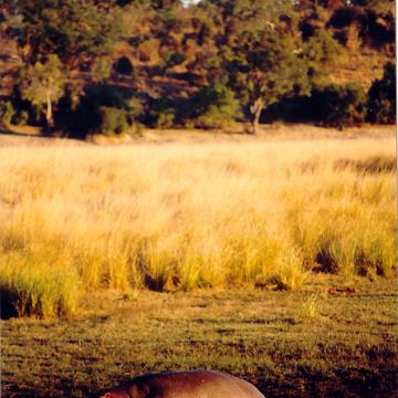 Afrika 1996