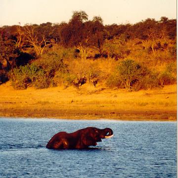 Afrika 1996 127