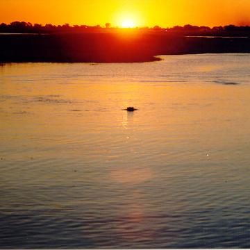 Afrika 1996 129