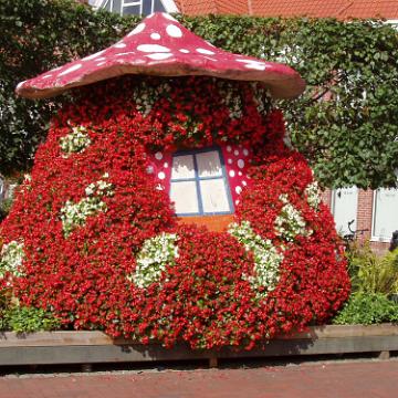 CabrioAmmerland 2005 09