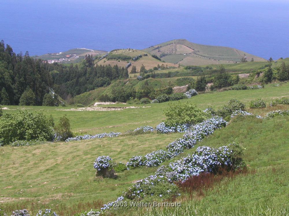 Azoren 2003 28