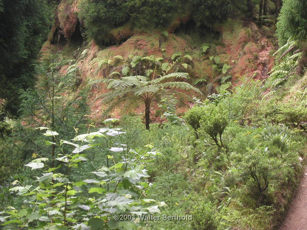 Azoren 2003 33
