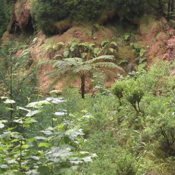 Azoren 2003 33
