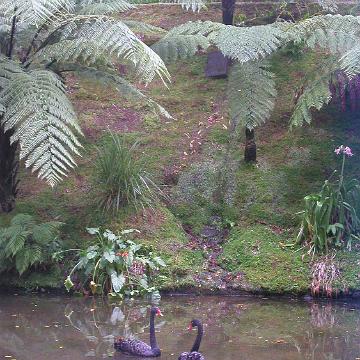 Azoren 2003 39