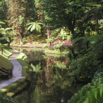 Azoren 2003 40
