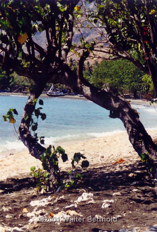 Bali 2001 14